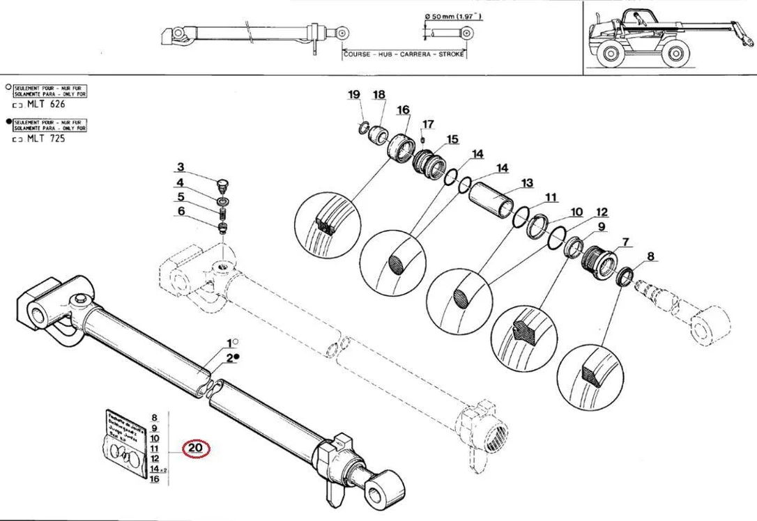 czescimanitou202605291804261466177
